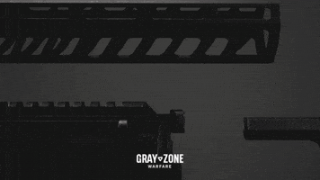 Videogame Parts GIF by Gray Zone Warfare
