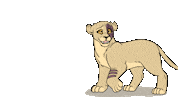 My Pride Lion Sticker by My Pride The Series