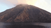 GIF by Giffffr