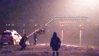 Caged Dog Dropped in Freezing Lake on Film Set, PETA Says