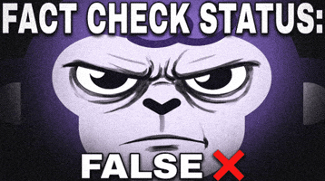 Lying Fact Check GIF by Raena AI