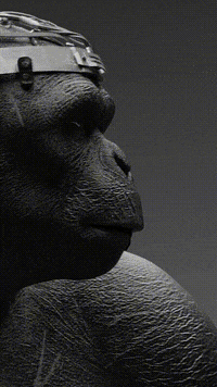 Sigma Ape GIF by BRAVO READY