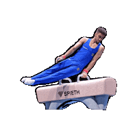 Fgi Sticker by Federazione Ginnastica d'Italia