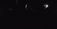 punk rock mask GIF by Pure Noise Records