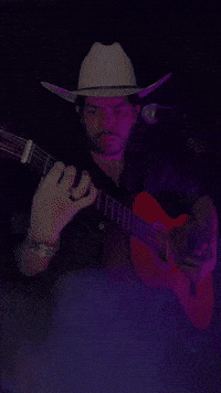 Viola Cantor GIF by Dalvan Ferraz