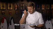 gordon ramsay fox GIF by Hell's Kitchen
