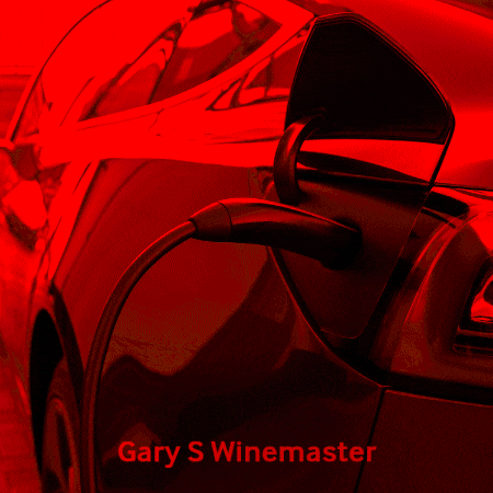 garyswinemaster giphygifmaker GIF