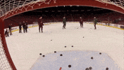 Arizona Coyotes Doan GIF