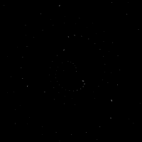 Art Loop GIF by Orla in Berlin