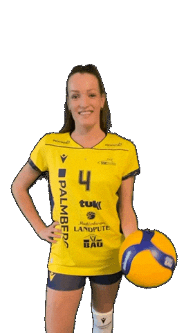 Schwerinersc Sticker by SSCPalmbergSchwerin