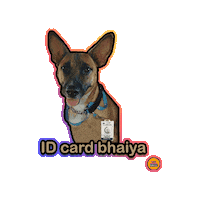 vitdayz college university vit vitchennai Sticker