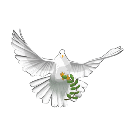 noahsvrkofficial giphyupload animal paloma noahs vrk Sticker