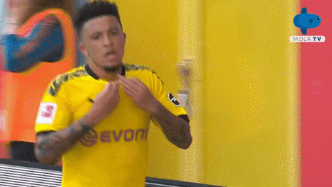 Happy Borussia Dortmund GIF by MolaTV