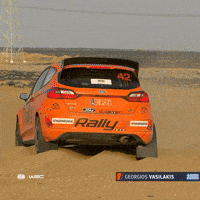 Oh No Sand GIF by FIA World Rally Championship