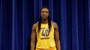 fever basketball GIF by Indiana Fever