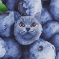 Kinda Homeless GIF