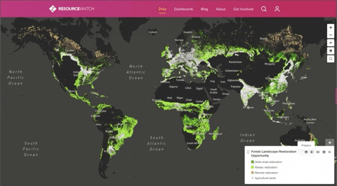 sergiobalditp giphygifgrabber climate change recovery forests GIF