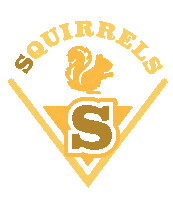 Fun Summer Sticker by Camp Kindling