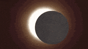 Solar Eclipse GIF by NASA