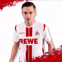Oh No Omg GIF by 1. FC Köln