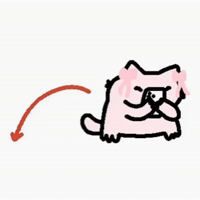 Spainnubcat GIF