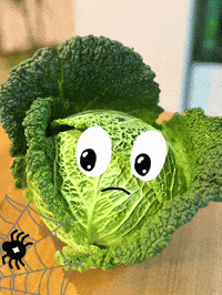 Spider Wirsing GIF