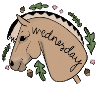 Wednesday Hobbyhorse Sticker