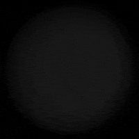 porky pig wink GIF by lunarpapacy