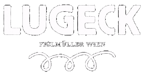 lugeckwien giphyupload lugeck lugeckwien lugeckfiglmüllerwien Sticker
