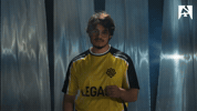 Counter Strike Esports GIF by BLAST