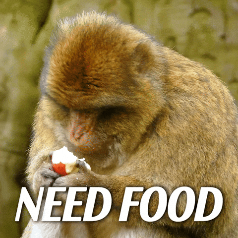 Hungry Mary Jane GIF by Sealed With A GIF