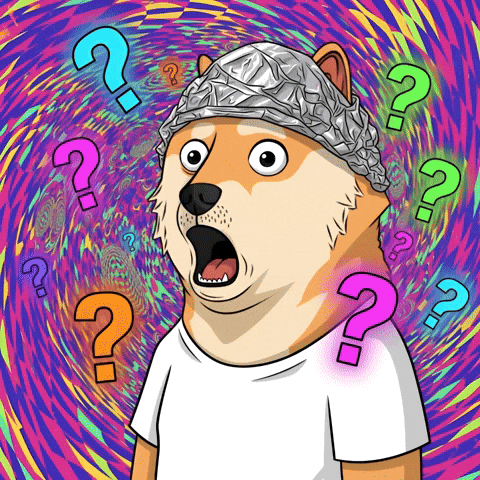 Shocked Shiba Inu GIF by Doge Pound