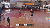 GIF by FIBA