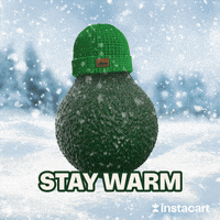 Freezing Let It Snow GIF by Instacart