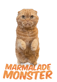 Cat Monster Sticker