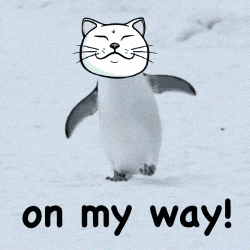 On My Way Cat GIF by ShiroNeko