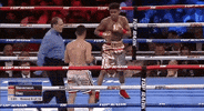 toprank fight boxing fighting espn GIF