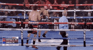 toprank fight boxing fighting champion GIF