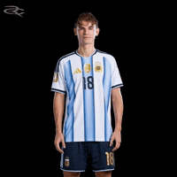 Fifa World Cup Argentina GIF by Respective