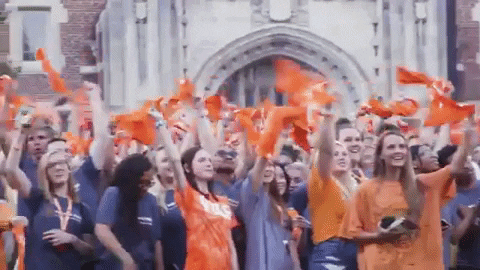 Wave Crowd GIF by UT Knoxville