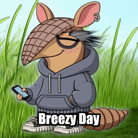GIF by Chillo Dillo