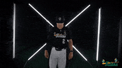 Tulane Rollwave GIF by GreenWave