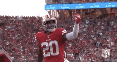 2019 Nfl Football GIF by NFL