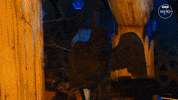 Thirteenth Doctor Flux GIF by Doctor Who