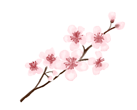 LATORTUGUITABLANCA giphyupload boho flores primavera Sticker