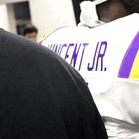 Ncaa Football GIF by LSU Tigers