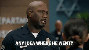 TV gif. Richard T. Jones as Wade in The Rookie wears a policemans uniform as he questions people. Text, "Any idea where he went?"
