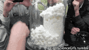 pop corn wtf GIF