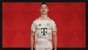 Fc Bayern What GIF by Bundesliga
