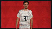 Fc Bayern Football GIF by Bundesliga